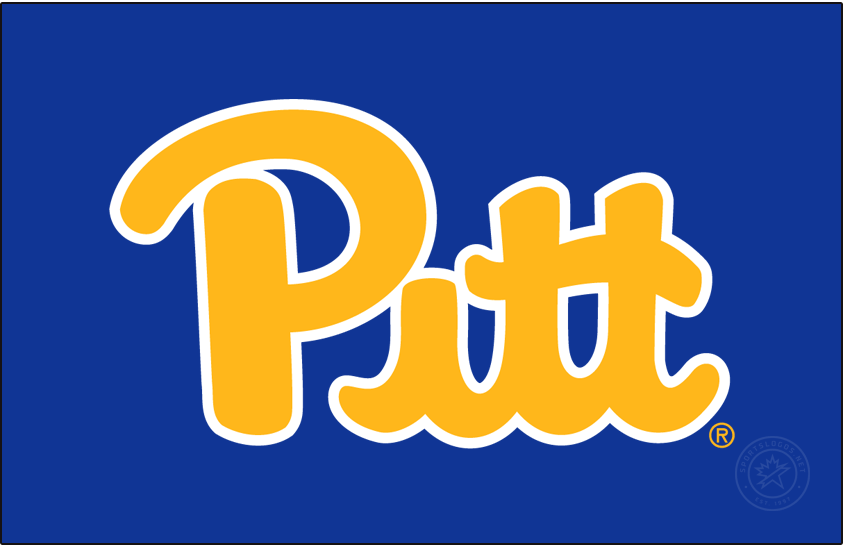 Pittsburgh Panthers 2019-Pres Primary Dark Logo v3 diy iron on heat transfer